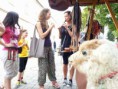 /album/a2016/a14339317-10210525510672331-420618364-o-jpg/